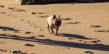 23-Ocak-2026-Reyting-Yarisinda-Zirve-Kimin-Oldu-featured