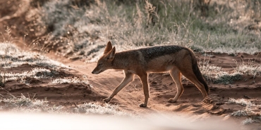 Hasan-Can-Kaya-Reynmen-ve-Emirhan-Cakal-Gozaltina-Alindi-featured
