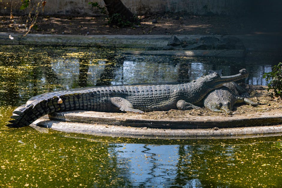 Chrome-Kullanicilari-Tehlikede-mi-Kritik-Acik-Acilen-Kapatilmali-featured