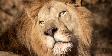 Kanbolat-Gorkem-Arslan-Hakkindaki-Olum-Iddialari-Yalanlandi-featured