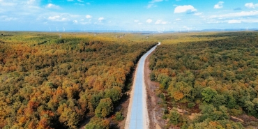 Crimson-Desert-PS5-Performansiyla-Goz-Kamastirdi-4K60-FPS-Hedefi-featured