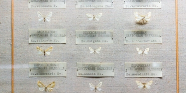 Turkiye-8216Made-in-EU8217-Listesinde-Ihracatta-Yeni-Donem-Basliyor-featured