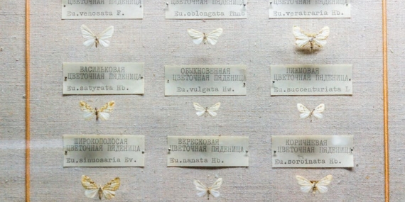 Türkiye ‘Made in EU’ Listesinde: İhracatta Yeni Dönem Başlıyor